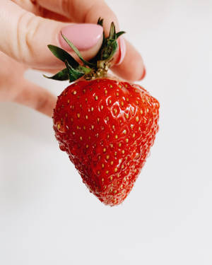 Strawberry Fruit Held By Hand Wallpaper