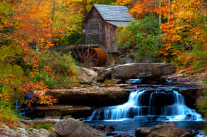 Stream During Early Fall Wallpaper