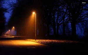 Street Light Trees Wallpaper