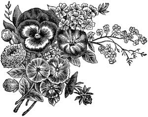 Striking Black And White Flower Illustration Wallpaper