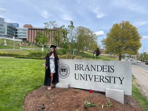 Student Brandeis University Signage Wallpaper