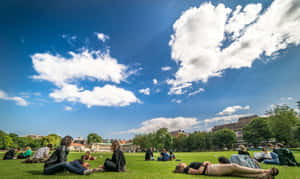 Students Relaxing On Campus Lawn Wallpaper