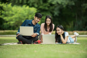 Students Studying Outdoors With Laptops.jpg Wallpaper