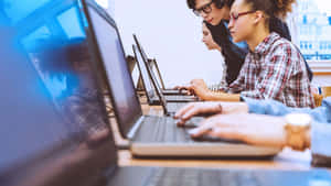 Students Working On Computers Wallpaper