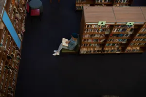 Study Alone Peacefully Wallpaper