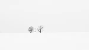 Stunning 4k Minimalist Landscape Wallpaper