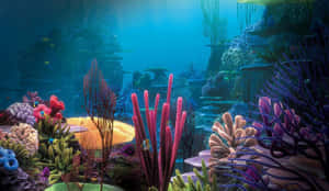 Stunning Aquarium Fish Tank Wallpaper