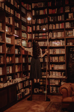 Stunning Picture Of Library Wallpaper