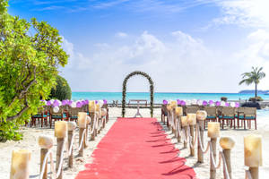 Stunning Red Carpet Beach Wedding Wallpaper