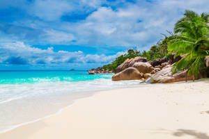 Stunning Seychelles Beach Wallpaper