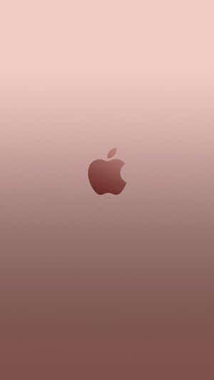 Stunning Shade Of Rose Gold Wallpaper