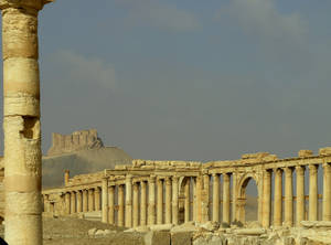 Sturdy Pillars Of The Roman Ruins, Palmyra Wallpaper