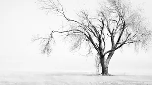 Style And Substance In A White Aesthetic Laptop Wallpaper