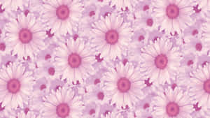 Stylish And Creative, This Lavender Aesthetic Laptop Is Perfect For Getting Things Done! Wallpaper