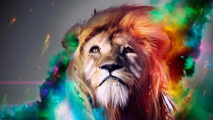 Stylish Colorful Lion Wallpaper