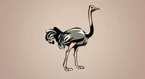 Stylized Ostrich Illustration Wallpaper
