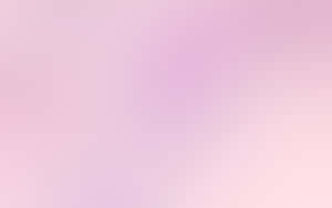 Sublime Soft Pink Background Wallpaper