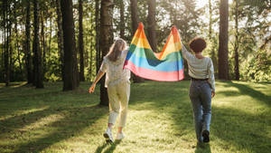 Subtle Lgbt Women Waving Flag Wallpaper