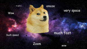 Such Wow Doge Shiba Inu In Space Meme Wallpaper