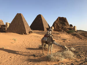 Sudanese Man Riding A Camel Wallpaper