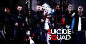 Suicide Squad - Harley Quinn - Harley Quinn - Harley Quinn - Harley Qui Wallpaper