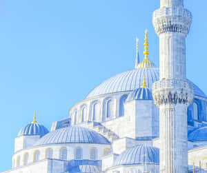 Sultan Ahmed Mosque White Coloration Wallpaper