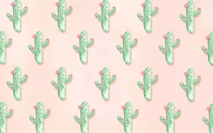 Summer Cute Cactus Laptop Wallpaper