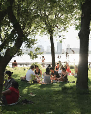 Summer Picnic By The River Wallpaper