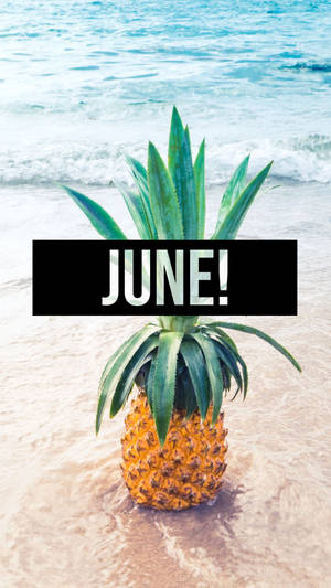 Summer Pineapple For June Wallpaper