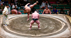 Sumo Wrestling In Japan Wallpaper