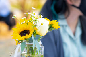 Sunflower Aesthetic In A Jar Wallpaper