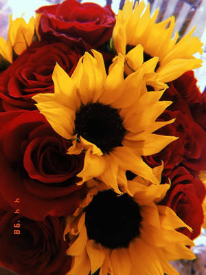 Sunflower And Roses Vibrant Flower Bouquet Wallpaper