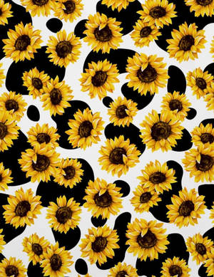 Sunflower Cow Print Wallpaper