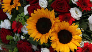 Sunflowers And Red And White Roses Wallpaper