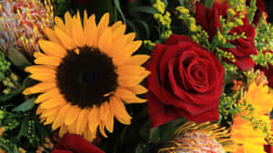 Sunflowers And Roses Bundle Valentines Wallpaper