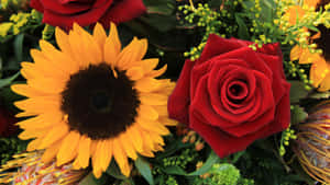 Sunflowers And Roses Perfect Combo Bundle Wallpaper