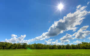 Sunny Day Blue Sky Clouds Wallpaper