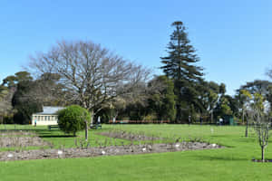 Sunny Day Croquet Game Park Scene Wallpaper