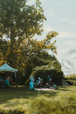 Sunny Day Picnic Gathering.jpg Wallpaper