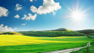 Sunny Green Hills Landscape Wallpaper