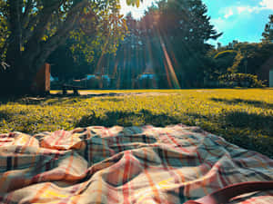 Sunny Picnic Blanket Park Scene Wallpaper