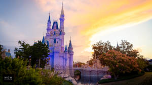 Sunset At Walt Disney World Desktop Wallpaper