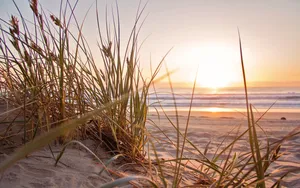 Sunset Beach Screensavers Wallpaper