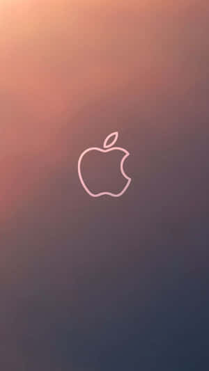 Sunset Grey Gradient Amazing Apple Hd Iphone Wallpaper