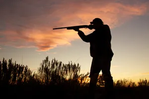 Sunset Hunting Silhouette Wallpaper