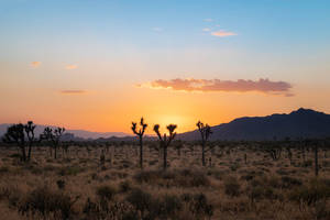 Sunset In The Desert Wallpaper