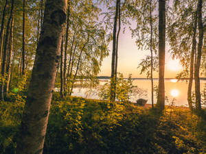 Sunset Lake Shore In Finland Wallpaper