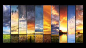 Sunset Views Panel Frames Four Seasons Wallpaper