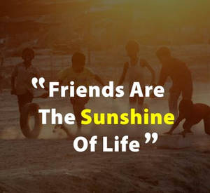 Sunshine Friendship Quotes Wallpaper