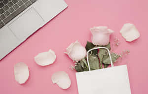 Super-chic Pink Laptop Wallpaper
